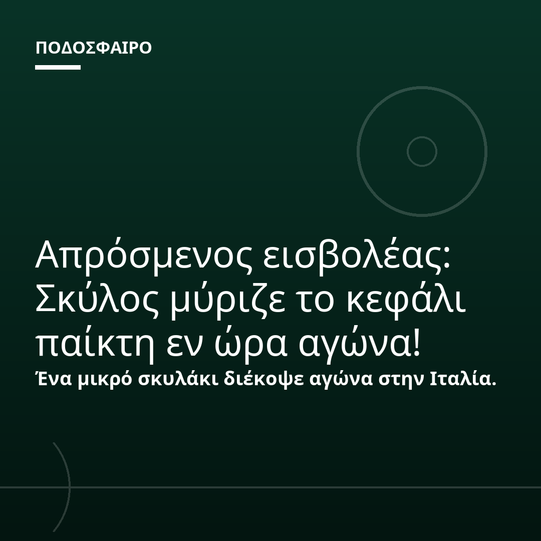 Απρόσμενος εισβολέας: Σκύλος μύριζε το κεφάλι παίκτη εν ώρα αγώνα!