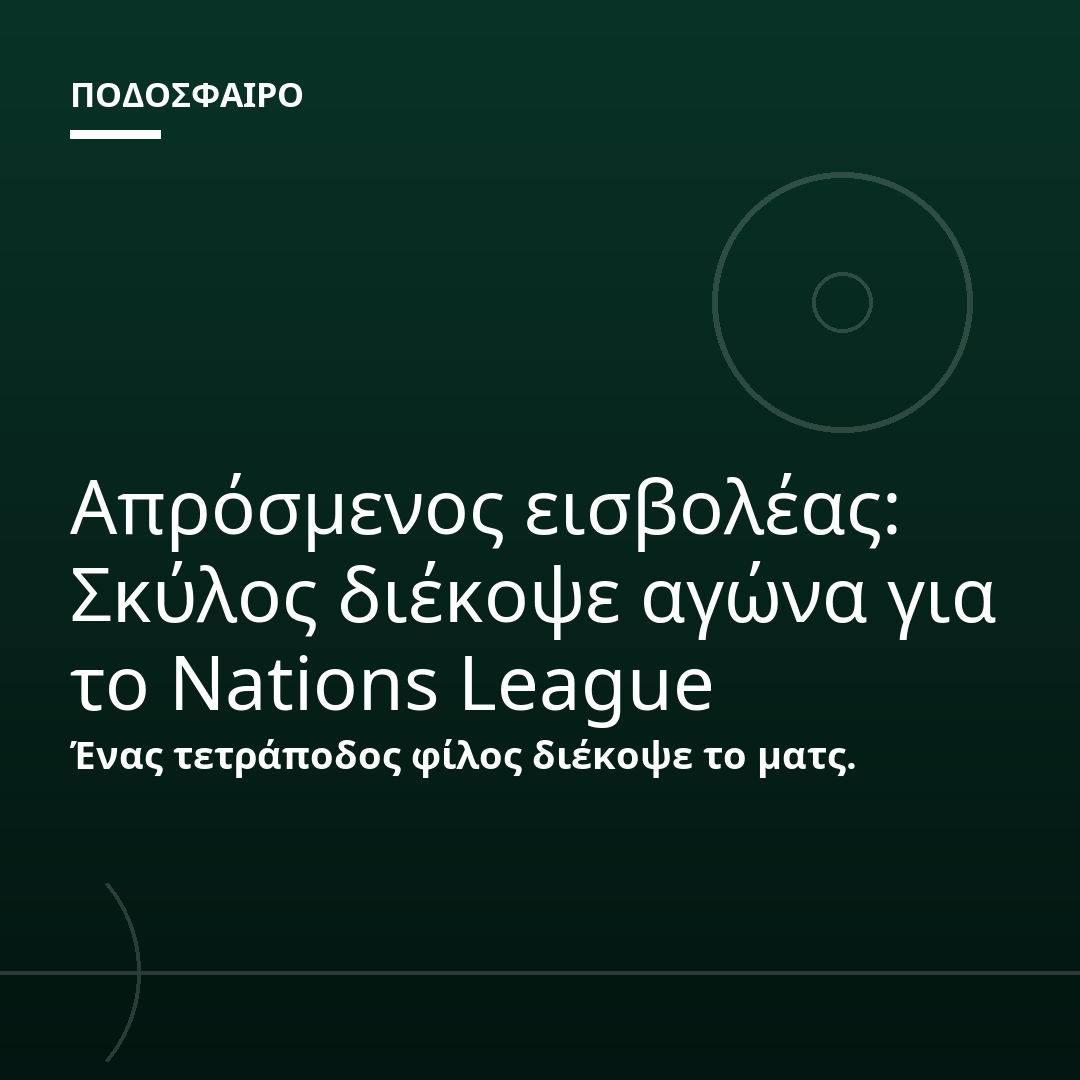 Απρόσμενος εισβολέας: Σκύλος διέκοψε αγώνα για το Nations League